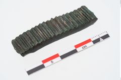 Foto von Bronzeraspel (NHMW-PRAE-024989)